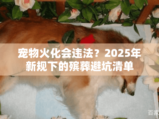 宠物火化会违法？2025年新规下的殡葬避坑清单