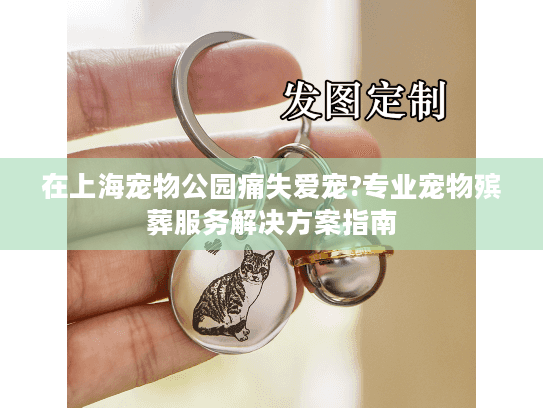 在上海宠物公园痛失爱宠?专业宠物殡葬服务解决方案指南