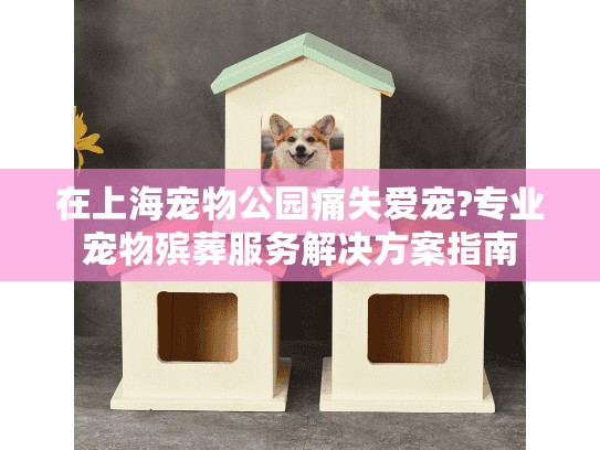 在上海宠物公园痛失爱宠?专业宠物殡葬服务解决方案指南