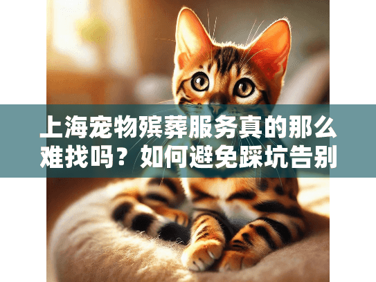上海宠物殡葬服务真的那么难找吗？如何避免踩坑告别爱宠？