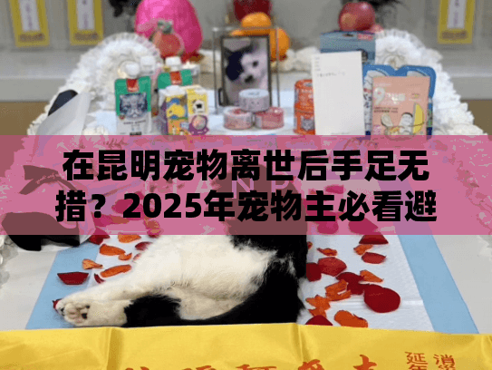 在昆明宠物离世后手足无措?2025年宠物主必看避坑指南 在昆明宠物离世后手足无措?2025年宠物主必看避坑指南