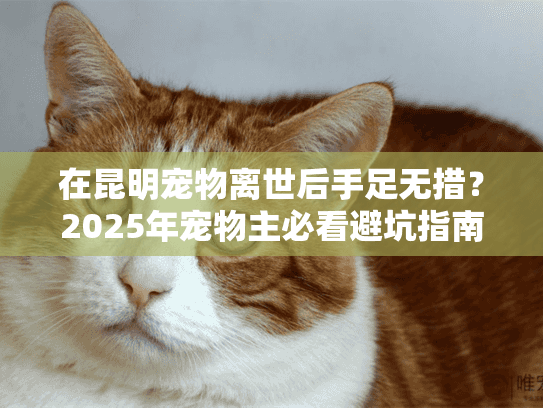 在昆明宠物离世后手足无措?2025年宠物主必看避坑指南 在昆明宠物离世后手足无措?2025年宠物主必看避坑指南