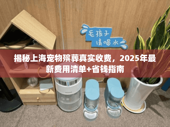 揭秘上海宠物殡葬真实收费，2025年最新费用清单+省钱指南