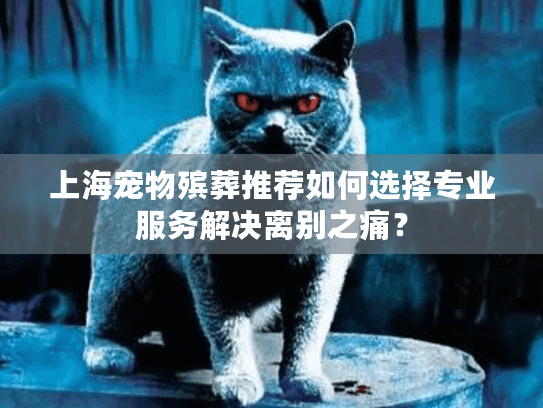 上海宠物殡葬推荐如何选择专业服务解决离别之痛？