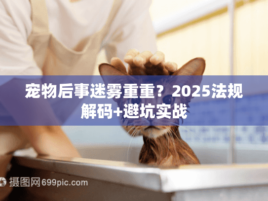 宠物后事迷雾重重？2025法规解码+避坑实战