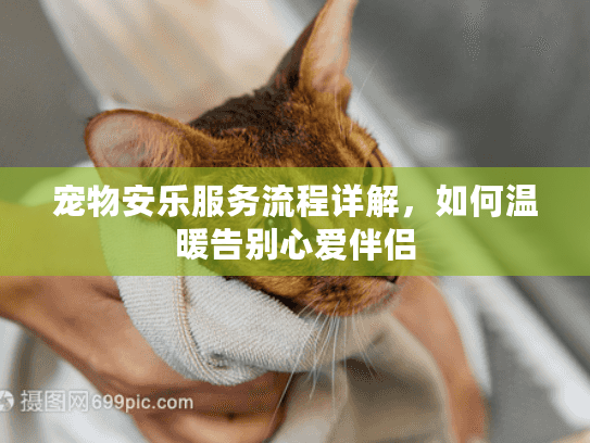 宠物安乐服务流程详解，如何温暖告别心爱伴侣