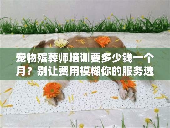 宠物殡葬师培训要多少钱一个月？别让费用模糊你的服务选择决断