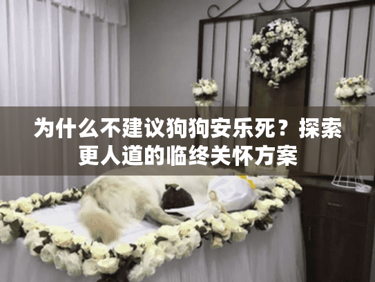 为什么不建议狗狗安乐死？探索更人道的临终关怀方案
