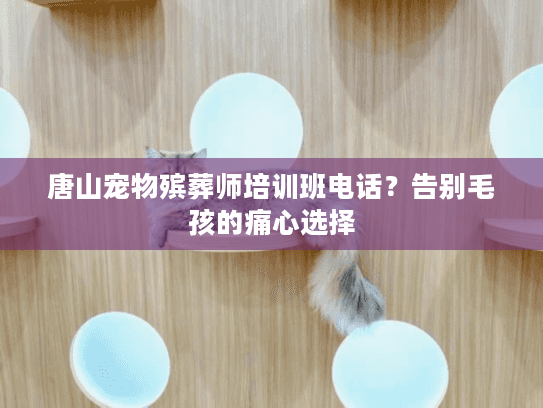 唐山宠物殡葬师培训班电话？告别毛孩的痛心选择