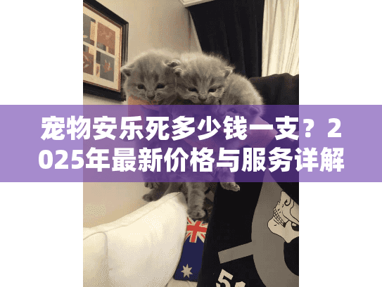 宠物安乐死多少钱一支？2025年最新价格与服务详解