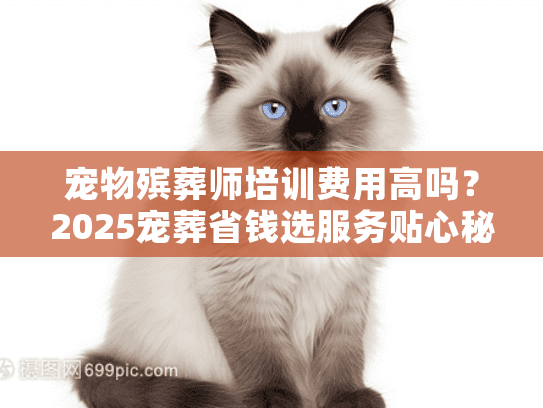 宠物殡葬师培训费用高吗？2025宠葬省钱选服务贴心秘笈揭晓