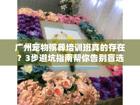 广州宠物殡葬培训班真的存在？3步避坑指南帮你告别盲选