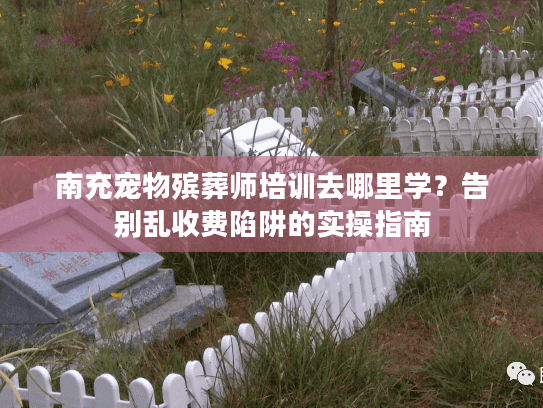 南充宠物殡葬师培训去哪里学？告别乱收费陷阱的实操指南
