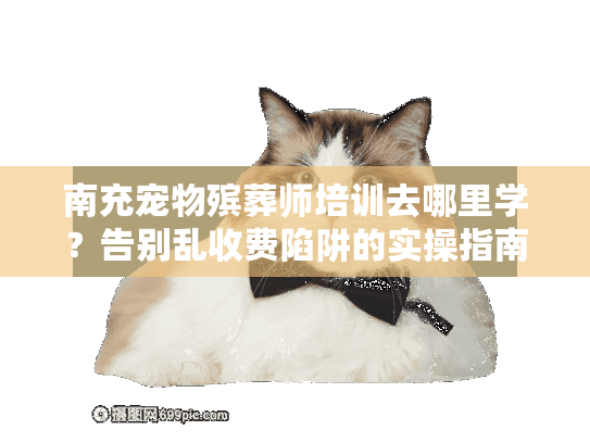 南充宠物殡葬师培训去哪里学？告别乱收费陷阱的实操指南