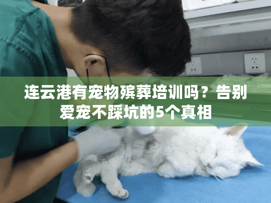 连云港有宠物殡葬培训吗？告别爱宠不踩坑的5个真相