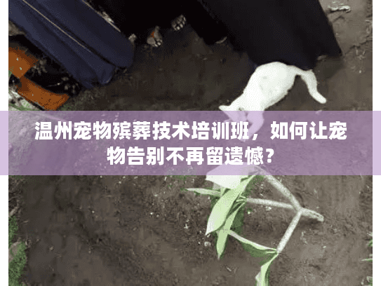 温州宠物殡葬技术培训班，如何让宠物告别不再留遗憾？