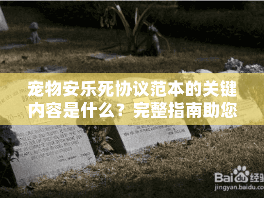 宠物安乐死协议范本的关键内容是什么？完整指南助您安心决策