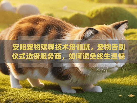 安阳宠物殡葬技术培训班，宠物告别仪式选错服务商，如何避免终生遗憾？