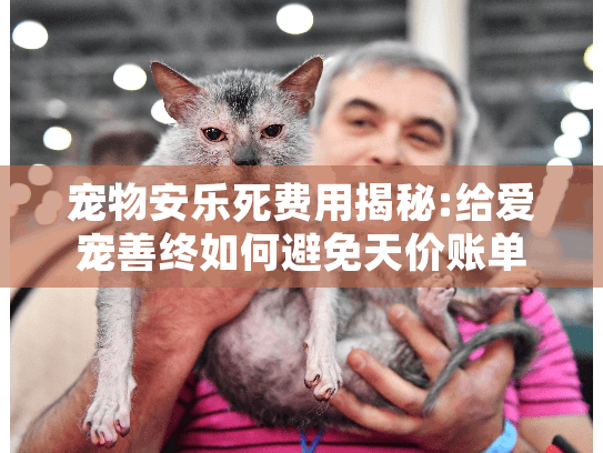宠物安乐死费用揭秘:给爱宠善终如何避免天价账单?