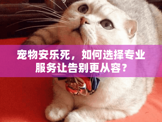 宠物安乐死，如何选择专业服务让告别更从容？