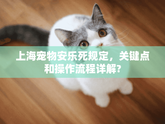 上海宠物安乐死规定，关键点和操作流程详解?