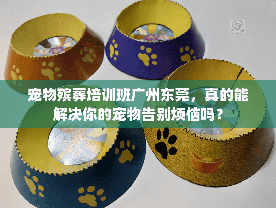 宠物殡葬培训班广州东莞，真的能解决你的宠物告别烦恼吗？