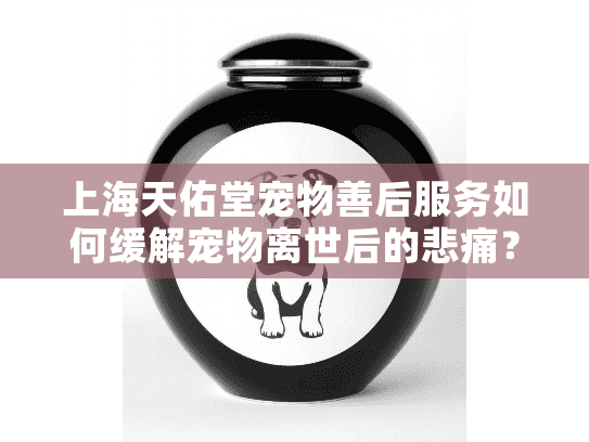 上海天佑堂宠物善后服务如何缓解宠物离世后的悲痛？
