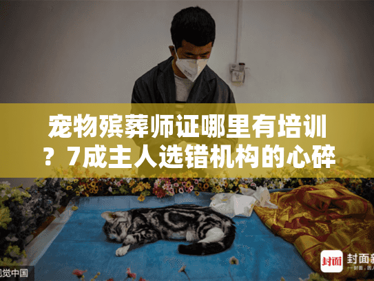 宠物殡葬师证哪里有培训？7成主人选错机构的心碎教训