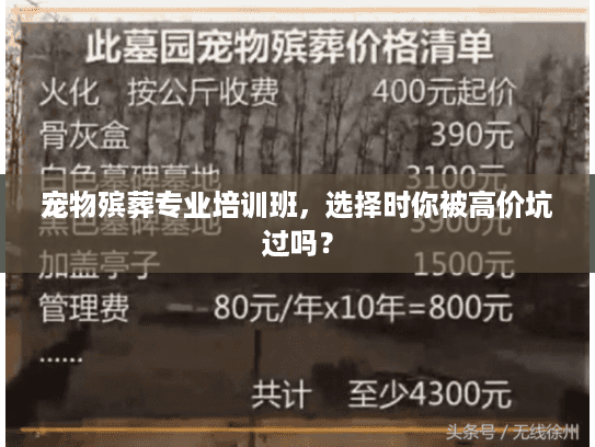 宠物殡葬专业培训班，选择时你被高价坑过吗？
