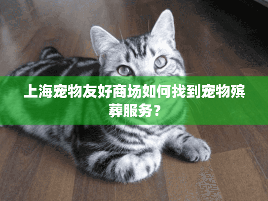 上海宠物友好商场如何找到宠物殡葬服务？