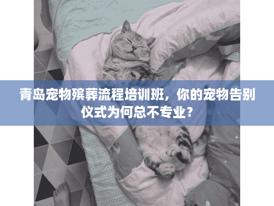 青岛宠物殡葬流程培训班，你的宠物告别仪式为何总不专业？