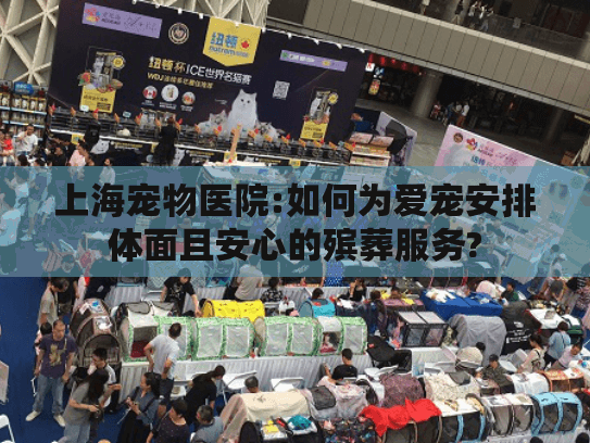 上海宠物医院:如何为爱宠安排体面且安心的殡葬服务?