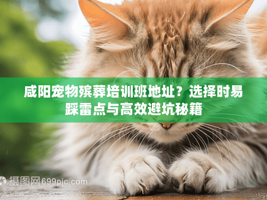 咸阳宠物殡葬培训班地址?选择时易踩雷点与高效避坑秘籍 咸阳宠物殡葬培训班地址?选择时易踩雷点与高效避坑秘籍