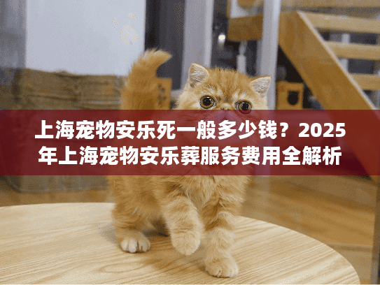上海宠物安乐死一般多少钱？2025年上海宠物安乐葬服务费用全解析