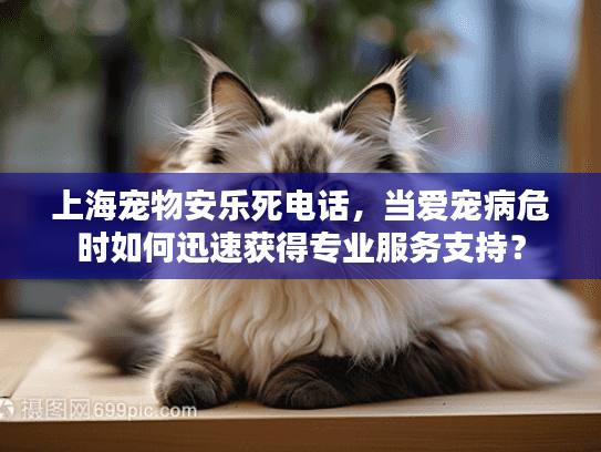 上海宠物安乐死电话，当爱宠病危时如何迅速获得专业服务支持？