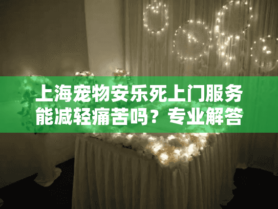上海宠物安乐死上门服务能减轻痛苦吗？专业解答关键问题