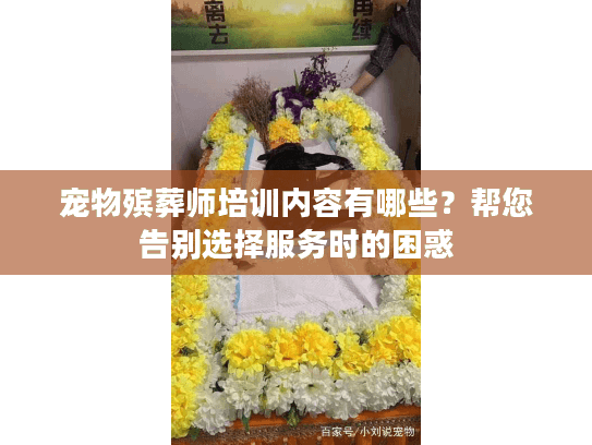 宠物殡葬师培训内容有哪些？帮您告别选择服务时的困惑