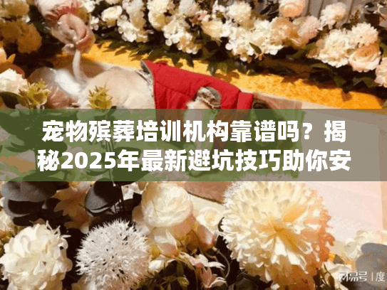 宠物殡葬培训机构靠谱吗？揭秘2025年最新避坑技巧助你安心送别爱宠！