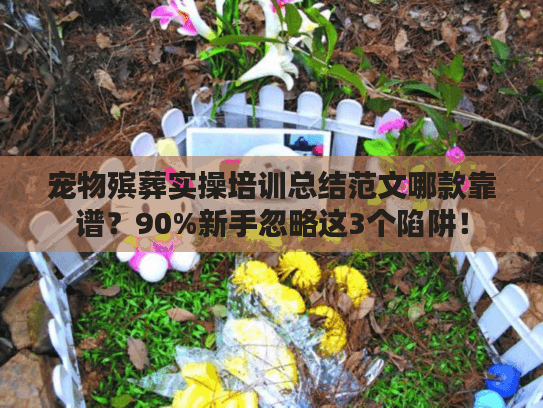 宠物殡葬实操培训总结范文哪款靠谱？90%新手忽略这3个陷阱！