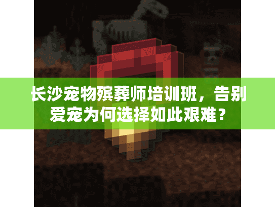 长沙宠物殡葬师培训班，告别爱宠为何选择如此艰难？