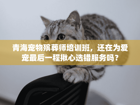 青海宠物殡葬师培训班，还在为爱宠最后一程揪心选错服务吗？