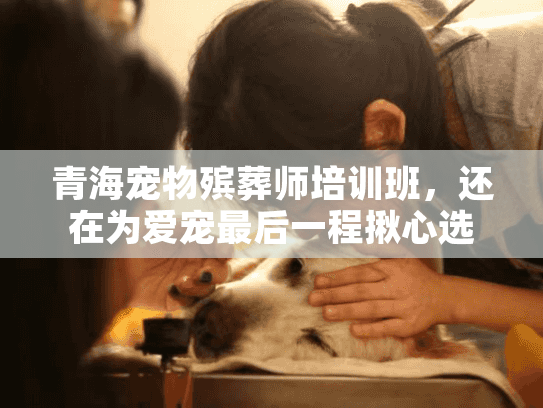 青海宠物殡葬师培训班，还在为爱宠最后一程揪心选错服务吗？