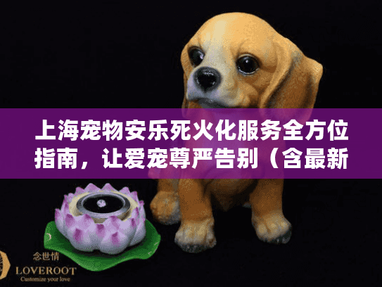 上海宠物安乐死火化服务全方位指南，让爱宠尊严告别（含最新政策）