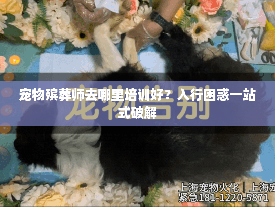 宠物殡葬师去哪里培训好？入行困惑一站式破解