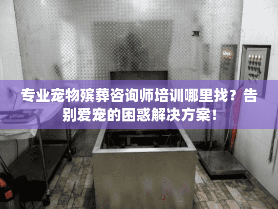 专业宠物殡葬咨询师培训哪里找?告别爱宠的困惑解决方案! 专业宠物殡葬咨询师培训哪里找?告别爱宠的困惑解决方案!