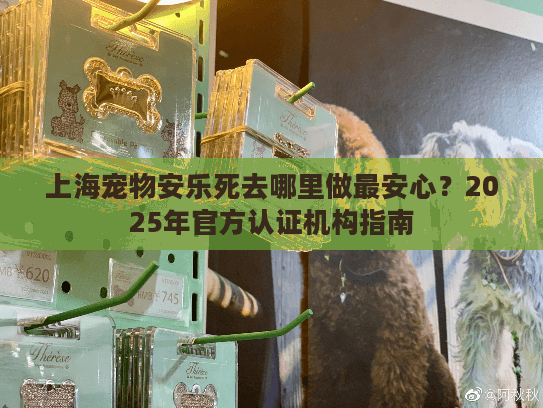 上海宠物安乐死去哪里做最安心？2025年官方认证机构指南