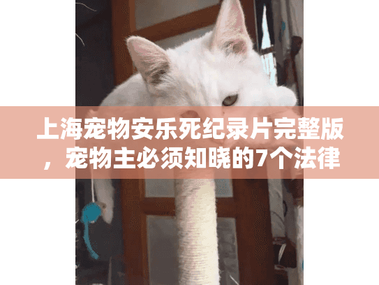 上海宠物安乐死纪录片完整版，宠物主必须知晓的7个法律与心理指南