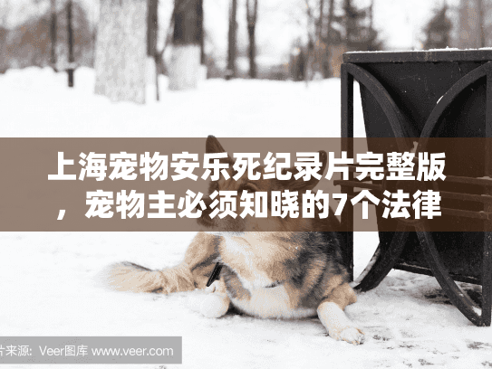 上海宠物安乐死纪录片完整版，宠物主必须知晓的7个法律与心理指南