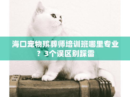 海口宠物殡葬师培训班哪里专业？3个误区别踩雷