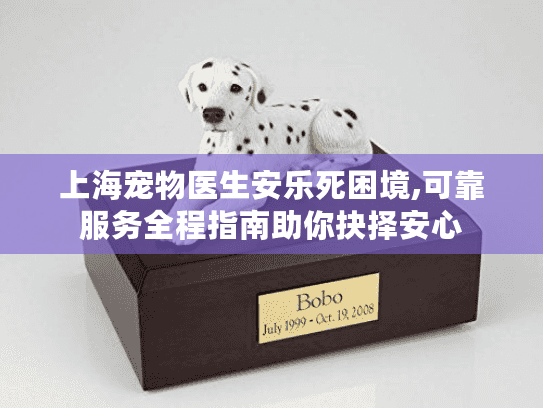 上海宠物医生安乐死困境,可靠服务全程指南助你抉择安心